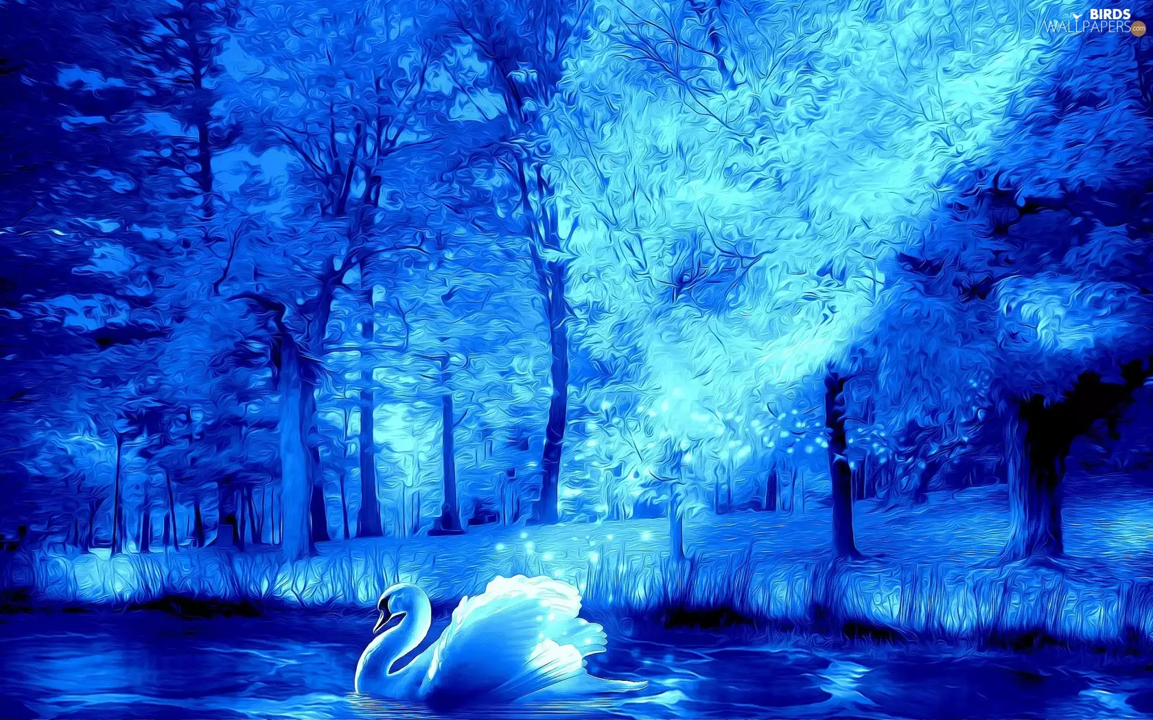 abstraction, trees, viewes, Swans