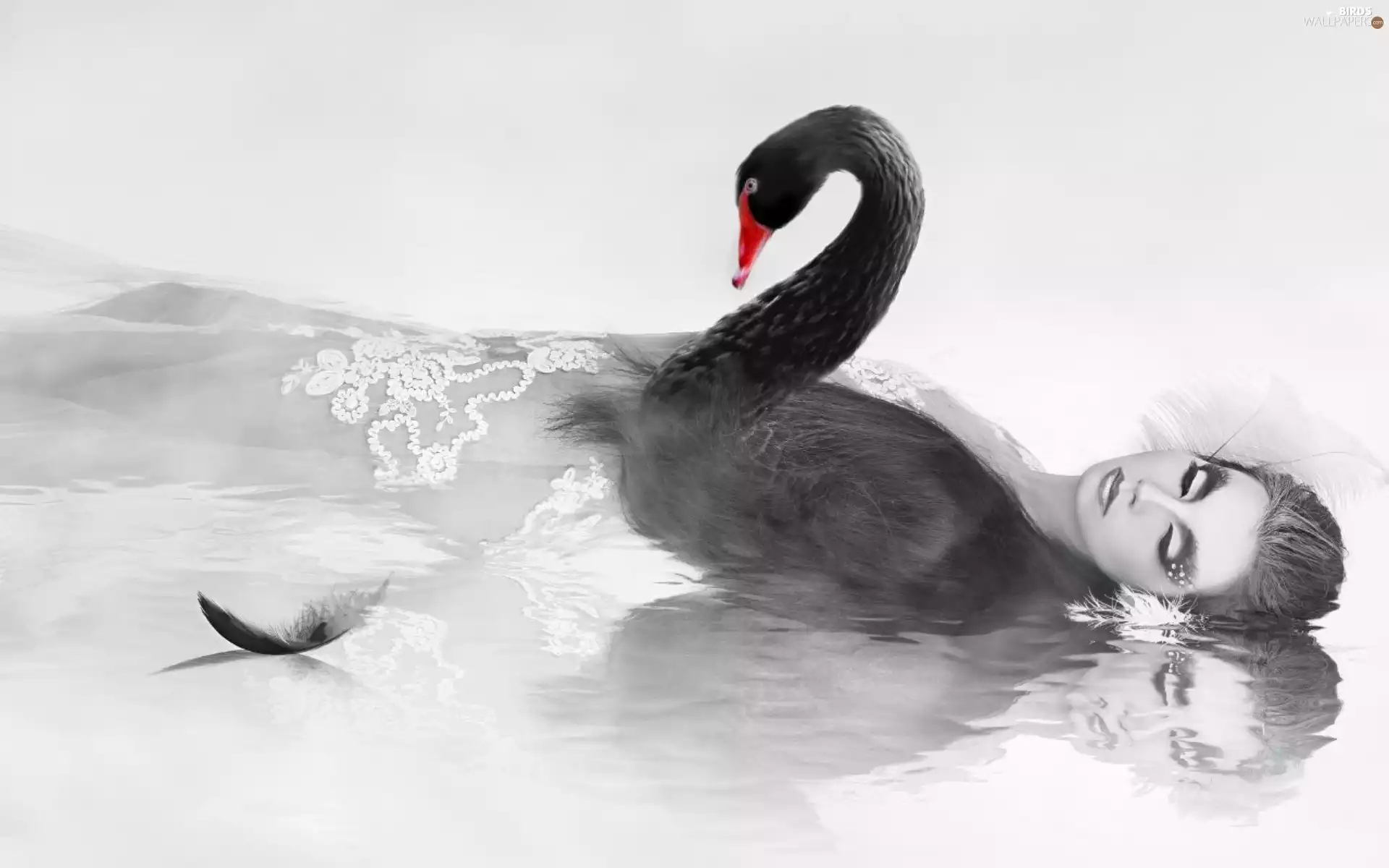 Women, Black, pen, Swans