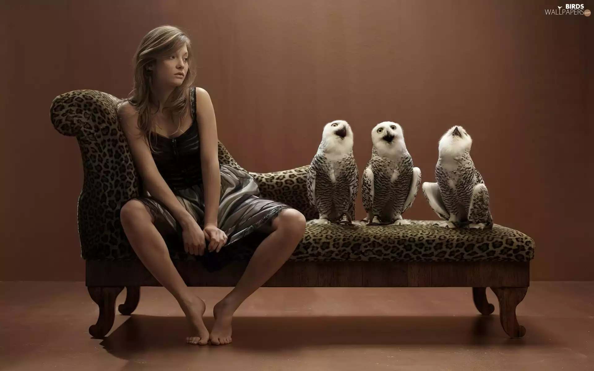 girl, Owls, Sofa, Three