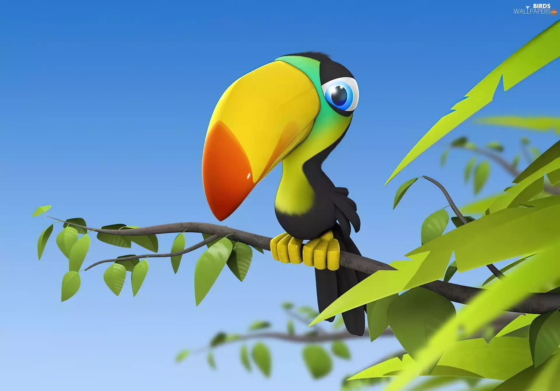 Toucan, 3D Graphics