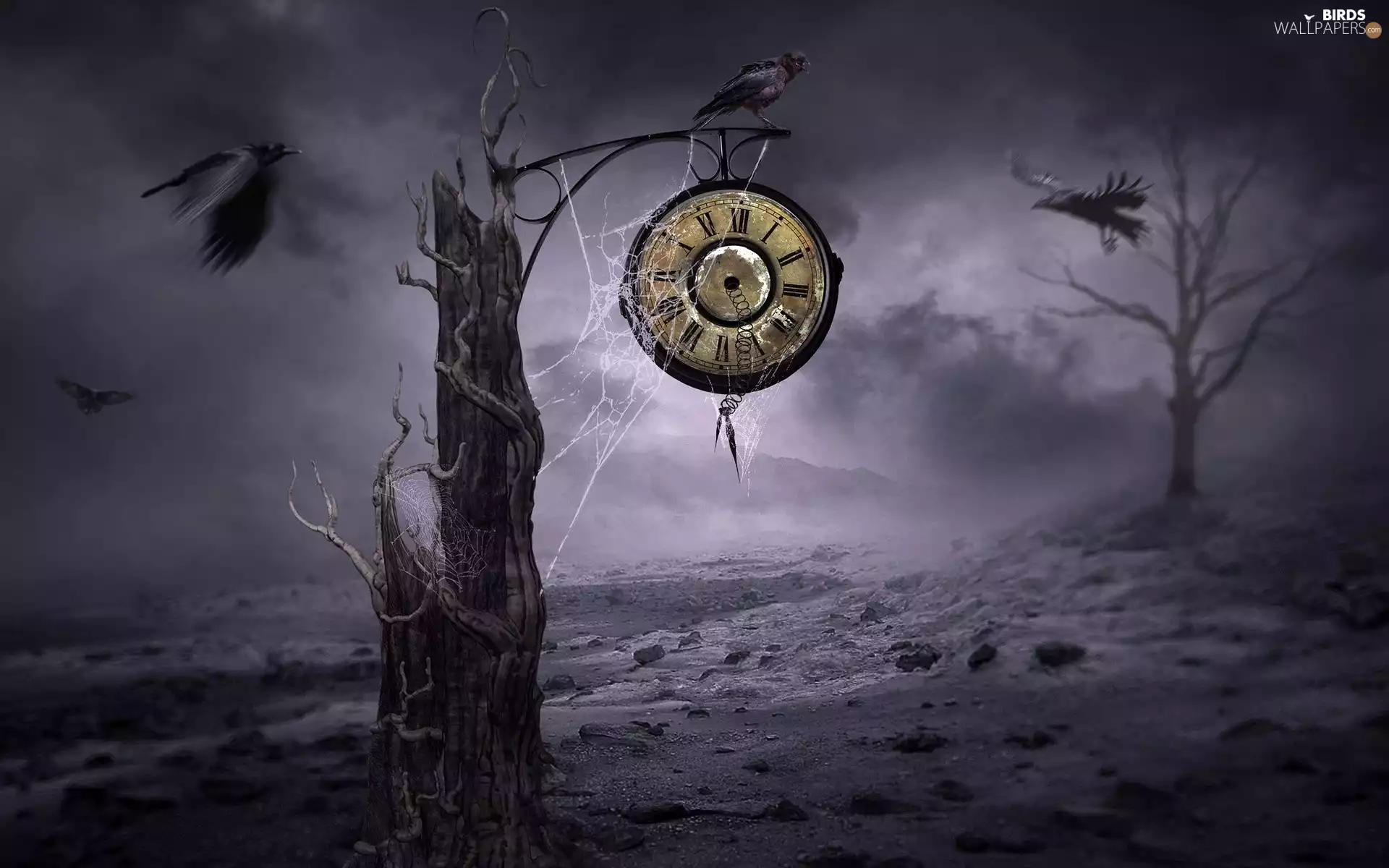 trees, Ravens, Clock