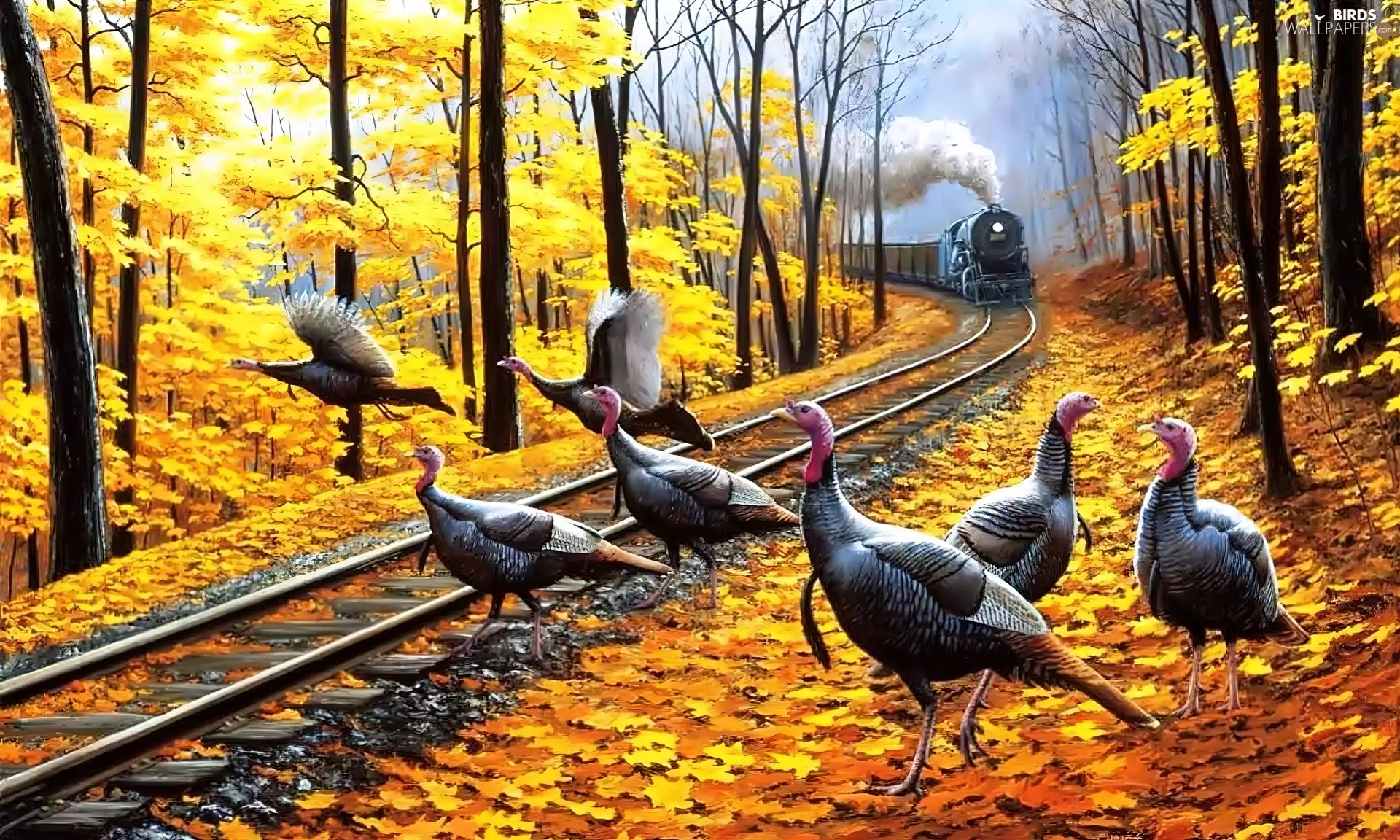 Leaf, turkeys, ##, forest, Train