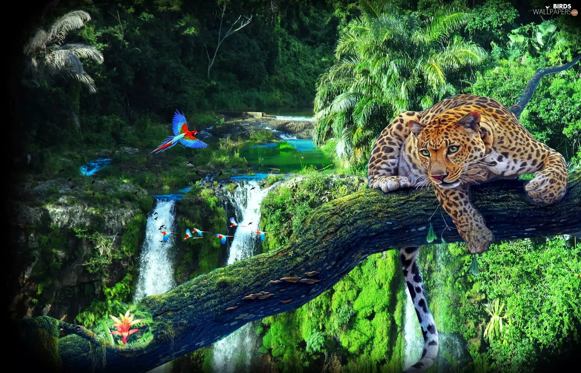 trees, viewes, parrot, waterfall, Leopards