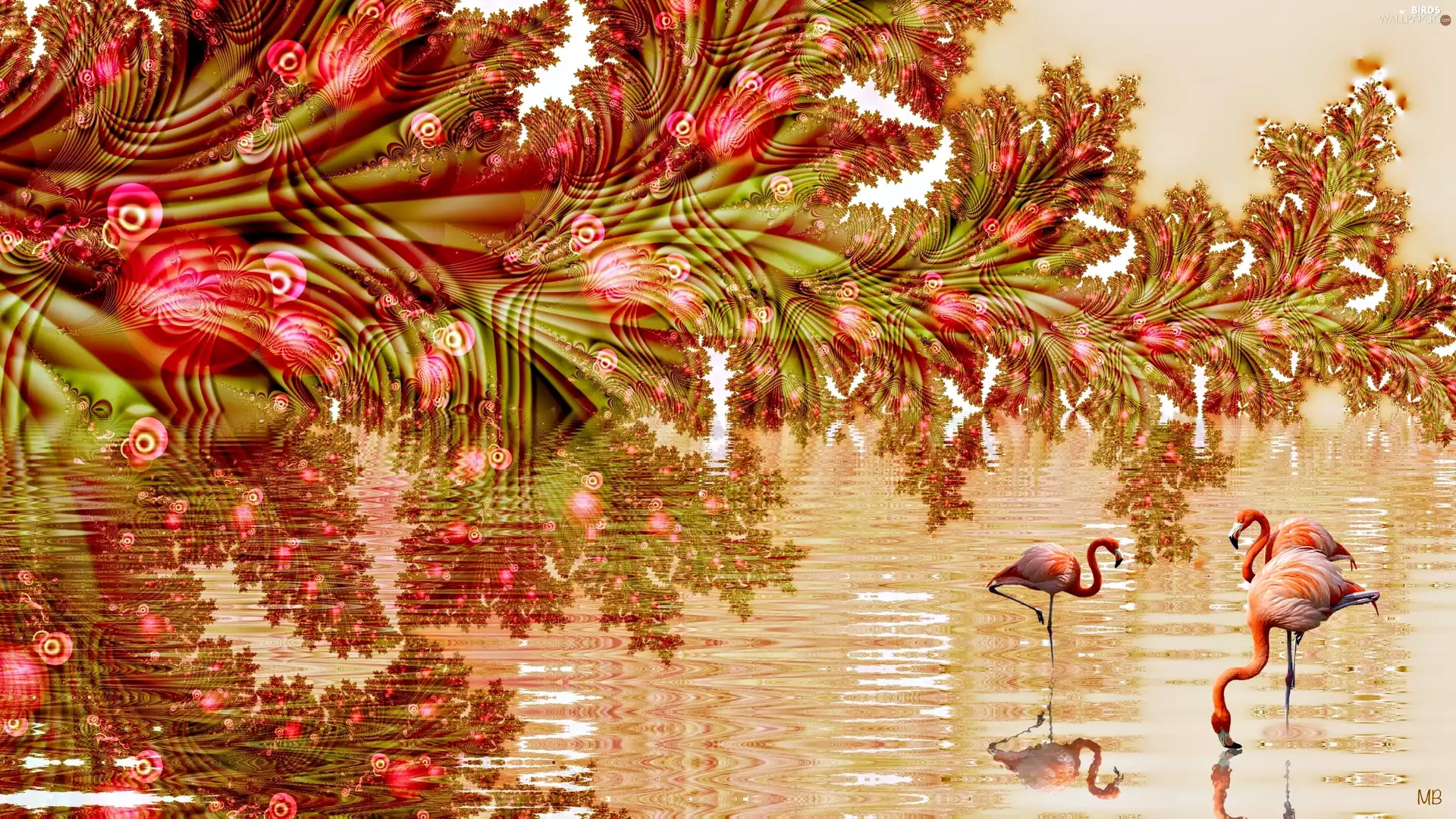 reflection, 2D Graphics, water, Flamingos, Flowers