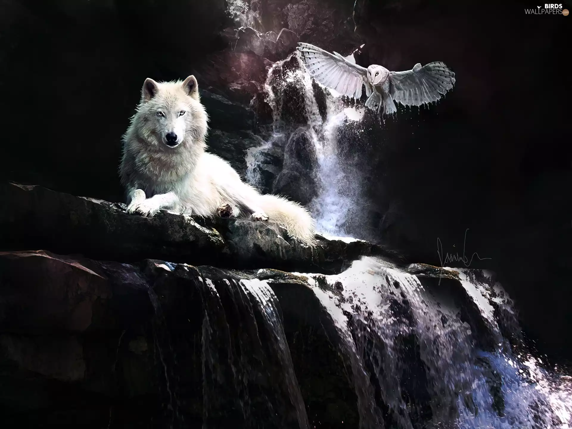 waterfall, Wolf, owl