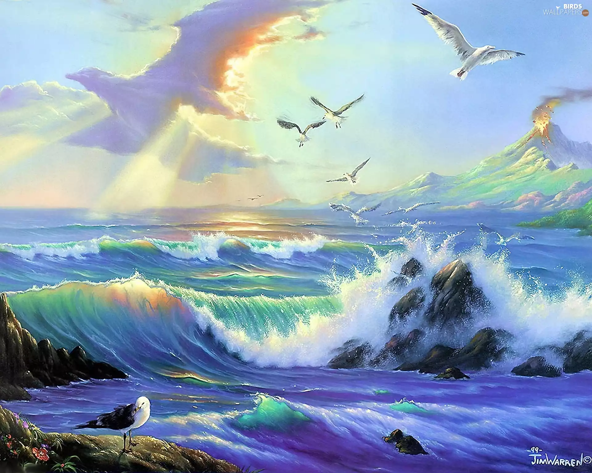 sea, Sky, gulls, Waves