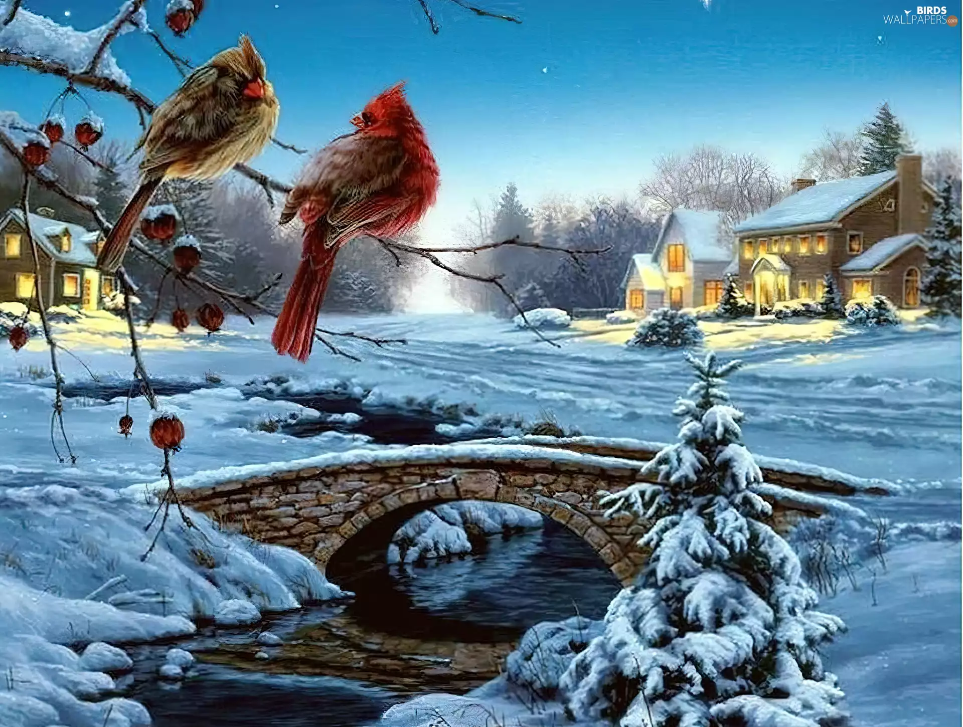 bridges, winter, Cardinals, brook, birds