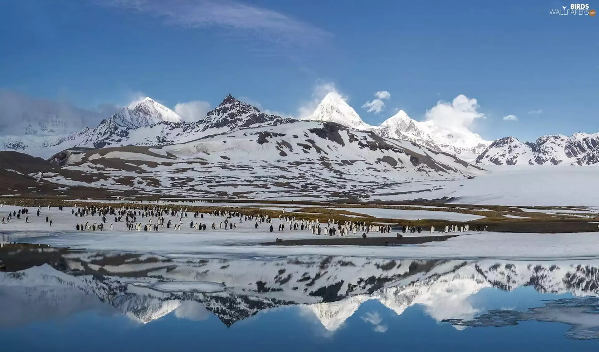landscape, Mountains, sea, winter