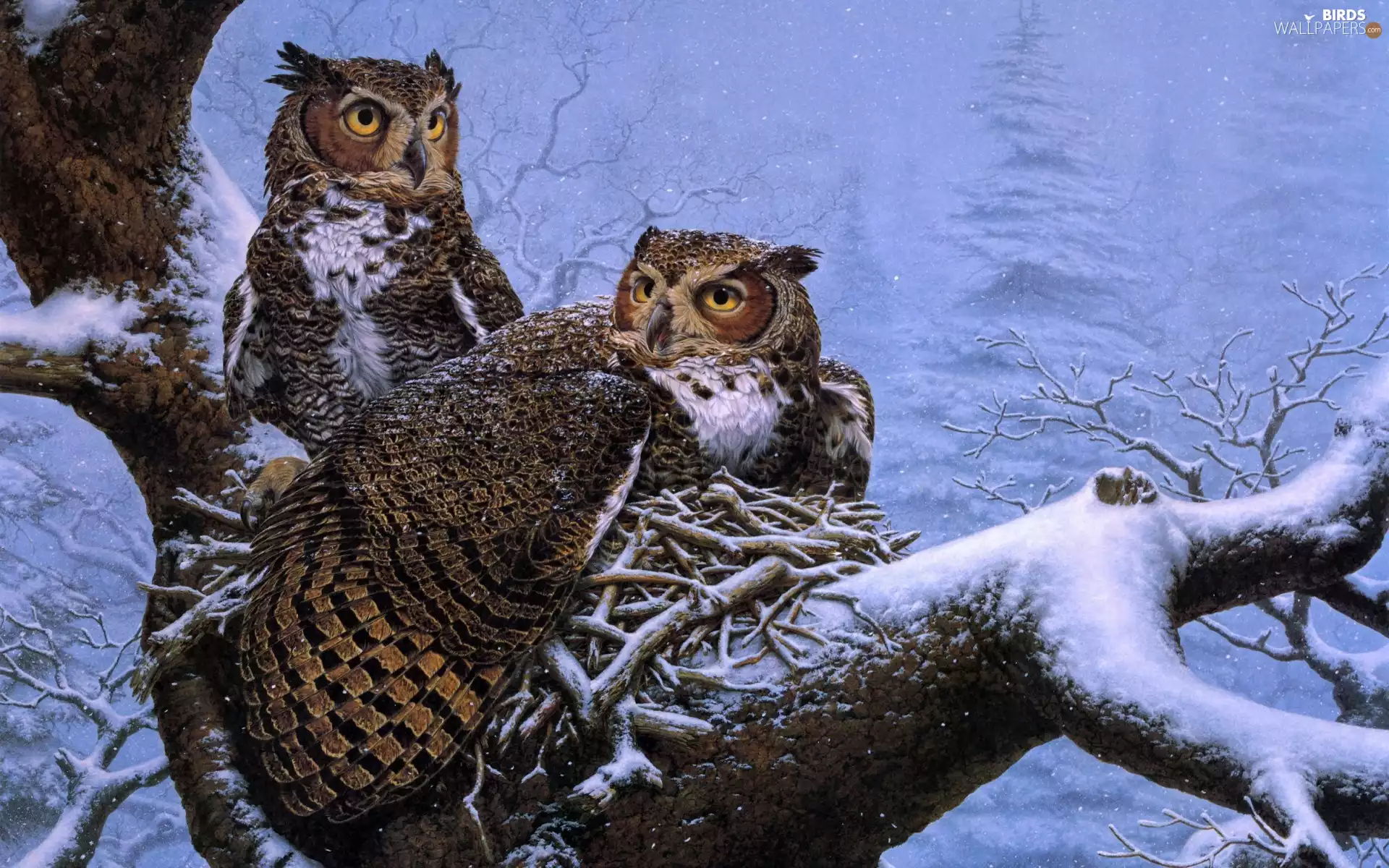 winter, Owls, trees